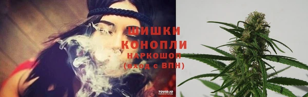 прущие грибы Белоозёрский