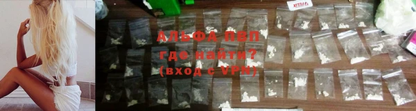 прущие грибы Белоозёрский