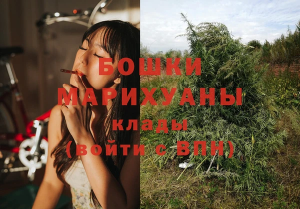 каннабис Беломорск