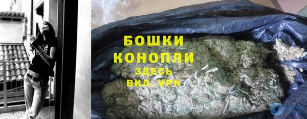прущие грибы Белоозёрский