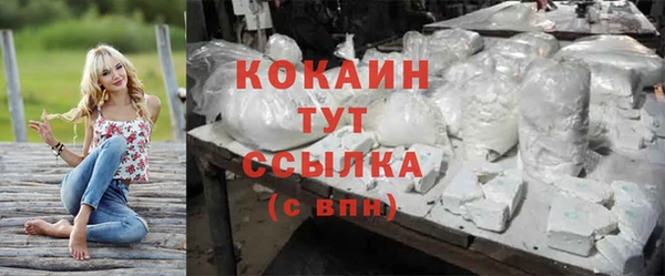 spice Тында