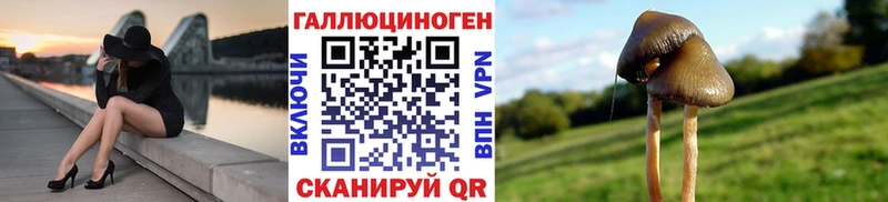 Купить  Анадырь  Галлюциногенные грибы MAGIC MUSHROOMS 